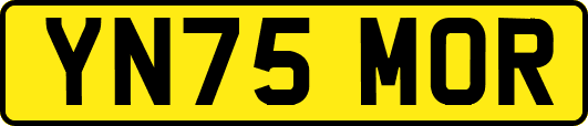 YN75MOR