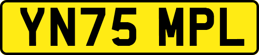 YN75MPL