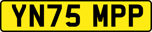 YN75MPP