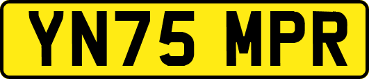 YN75MPR