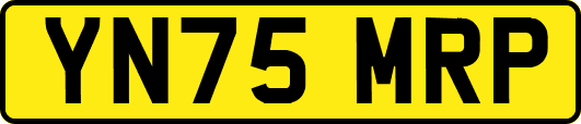 YN75MRP
