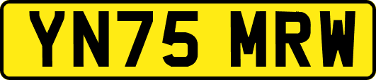 YN75MRW