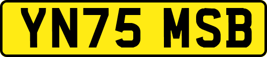 YN75MSB