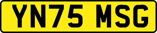 YN75MSG