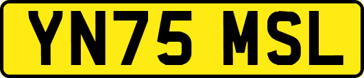 YN75MSL