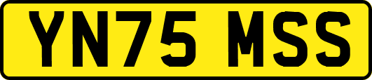 YN75MSS