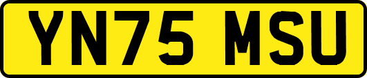 YN75MSU