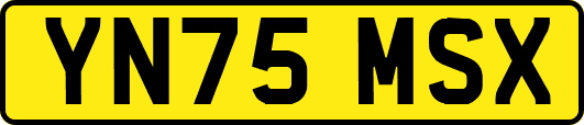 YN75MSX