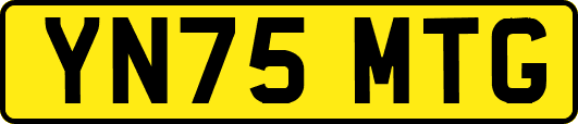 YN75MTG