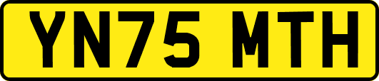 YN75MTH