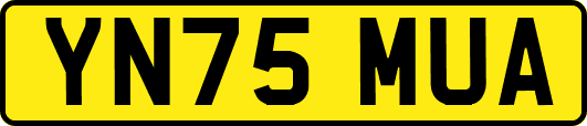YN75MUA