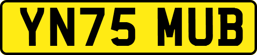 YN75MUB