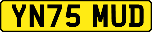 YN75MUD