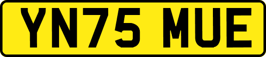 YN75MUE