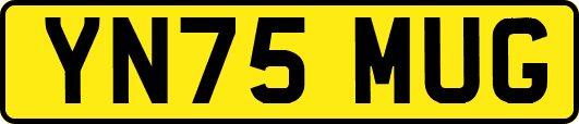 YN75MUG