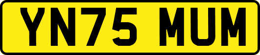 YN75MUM