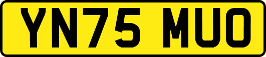 YN75MUO