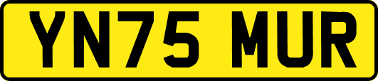 YN75MUR