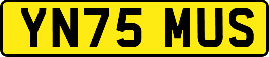 YN75MUS