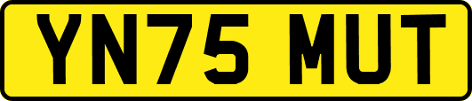 YN75MUT