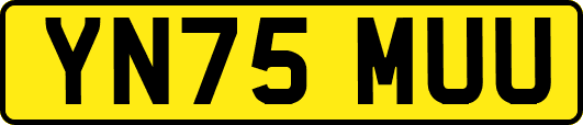 YN75MUU