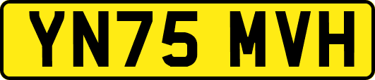 YN75MVH