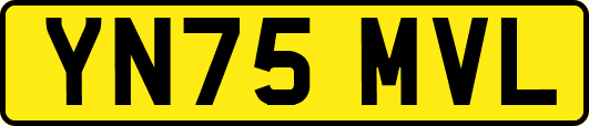 YN75MVL