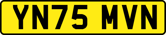 YN75MVN