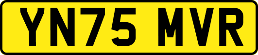 YN75MVR