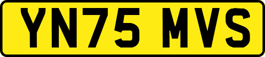 YN75MVS