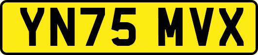 YN75MVX