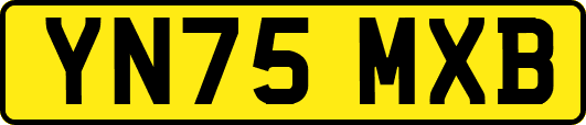 YN75MXB