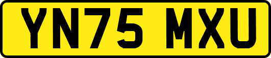 YN75MXU