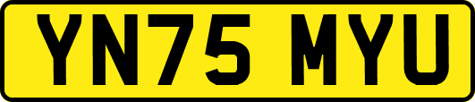 YN75MYU