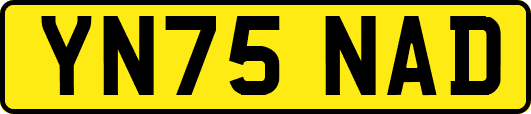 YN75NAD