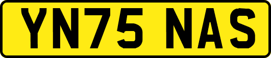 YN75NAS