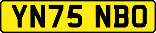 YN75NBO