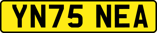YN75NEA