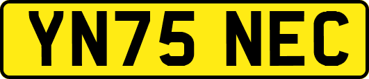 YN75NEC