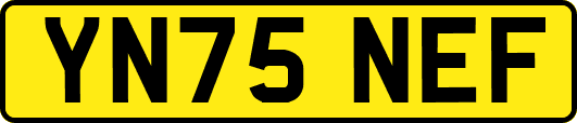 YN75NEF
