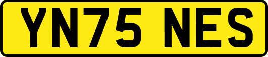 YN75NES