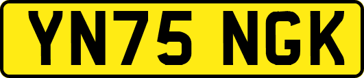 YN75NGK