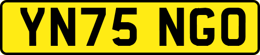 YN75NGO