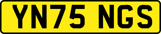 YN75NGS