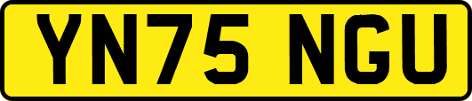 YN75NGU
