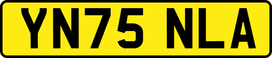 YN75NLA