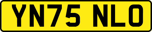YN75NLO