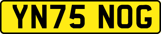 YN75NOG
