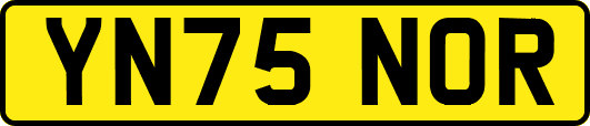 YN75NOR