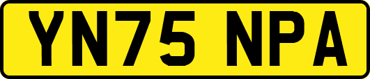 YN75NPA
